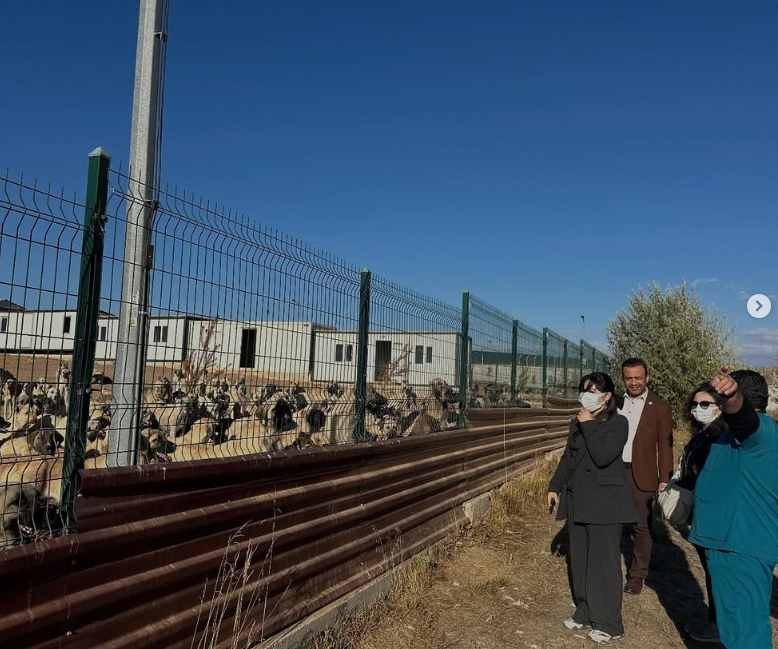 Ekran g&ouml;r&uuml;nt&uuml;s&uuml; 2025-10-06 095948